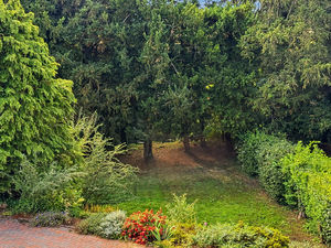 Photo 20- click for photo gallery